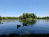 DSCF0940d