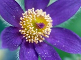 DSCF0544d