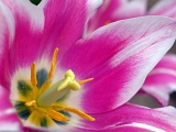 DSCF0592c