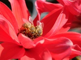 DSCF1446b