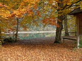 DSCF0473b