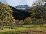 DSCF0618b