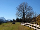 DSCF2055b