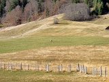DSCF2074e