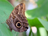 DSCF2630b