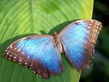 DSCF2636b