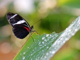 DSCF2646b