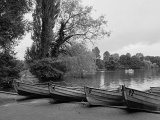 DSCF0101sw