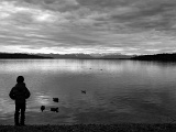 DSCF1316sw