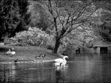 DSCF2787sw2