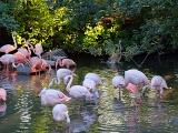 DSCF0429b