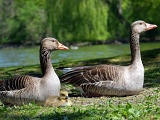 DSCF2927b